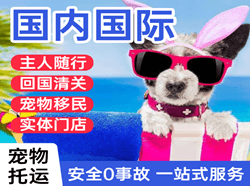 宜春明月山航空货运国际宠物托运 【国